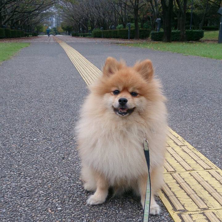 3fea3b71 2f38 4f0f b3ec 3c32e0938e39