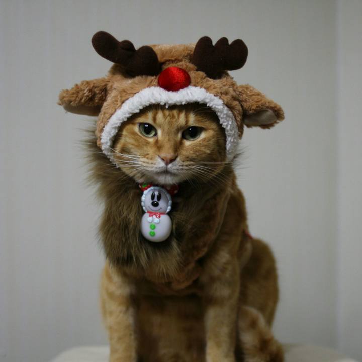 3feaafc4 1c10 4463 8d8a a7b5978a711d