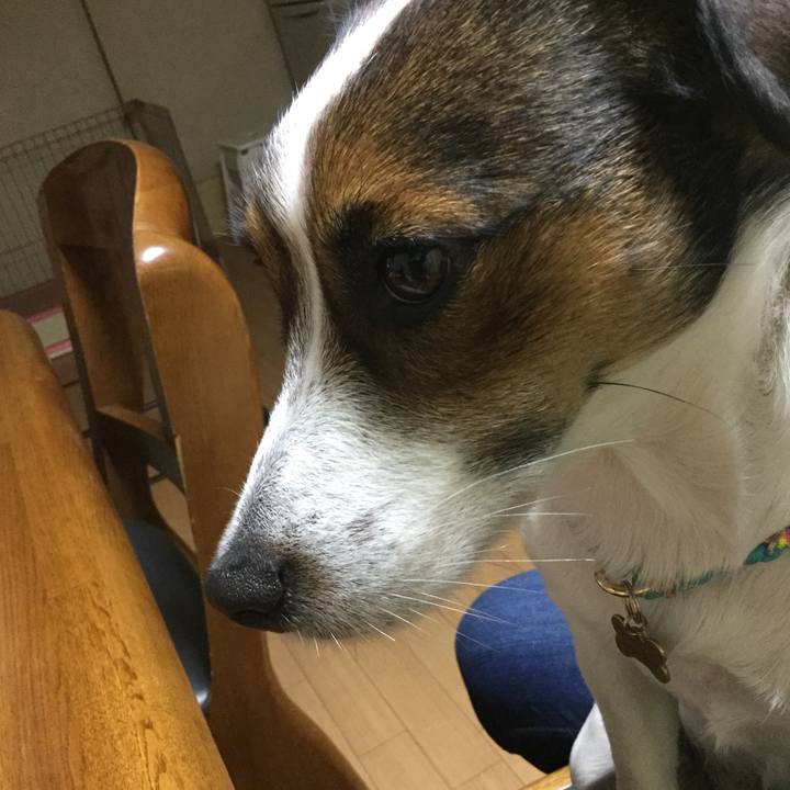 3feb6c72 72c9 4745 944b 4e86a8d84776