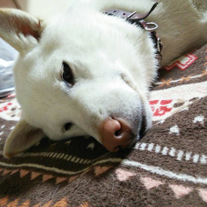 3febc959 404f 49d7 ac63 e5f1ac177974