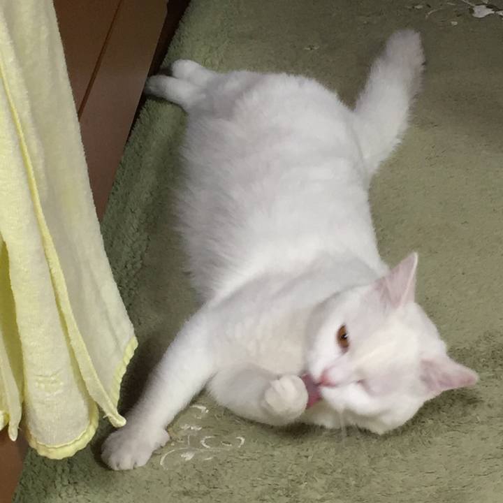 3fec16fb daf0 4a0e 8ae7 ae1eebd1dfa8