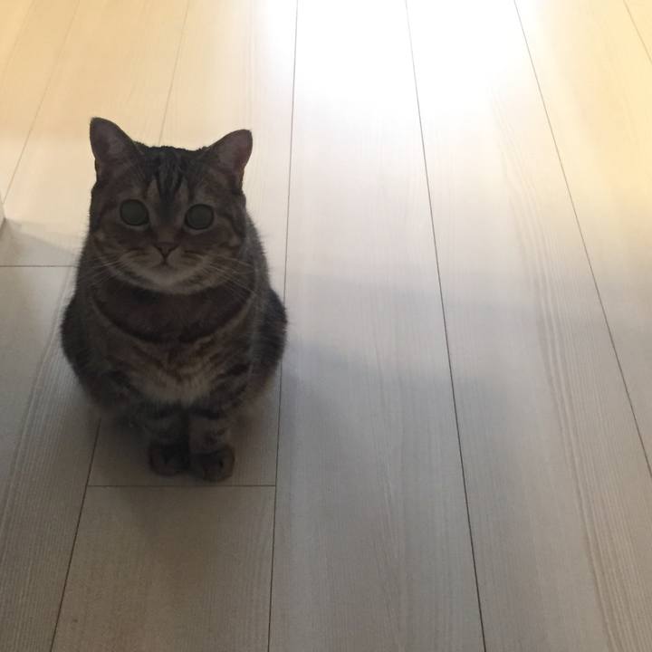 3fec2749 c5bb 4dba bd4d 16f616207f7b