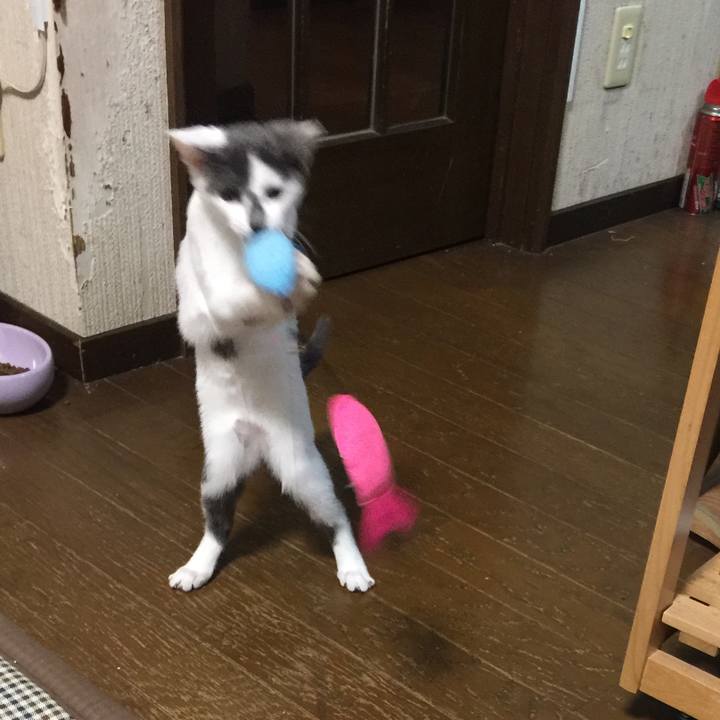 3fee2c6d 9e05 47bb aa65 d598468623cb