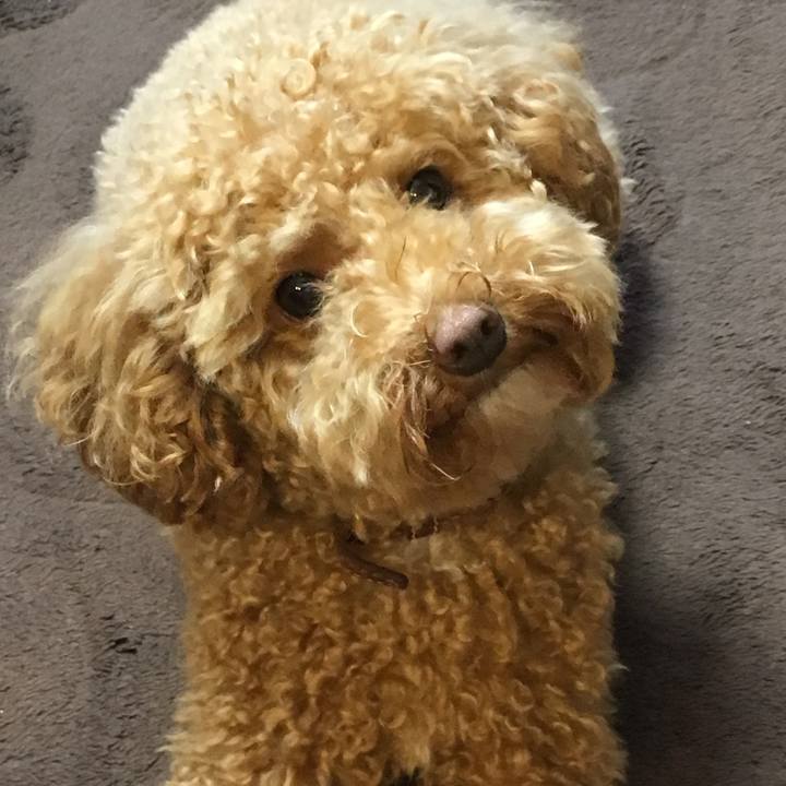 3fee3347 a0a6 4a38 95e0 89ca64680da4