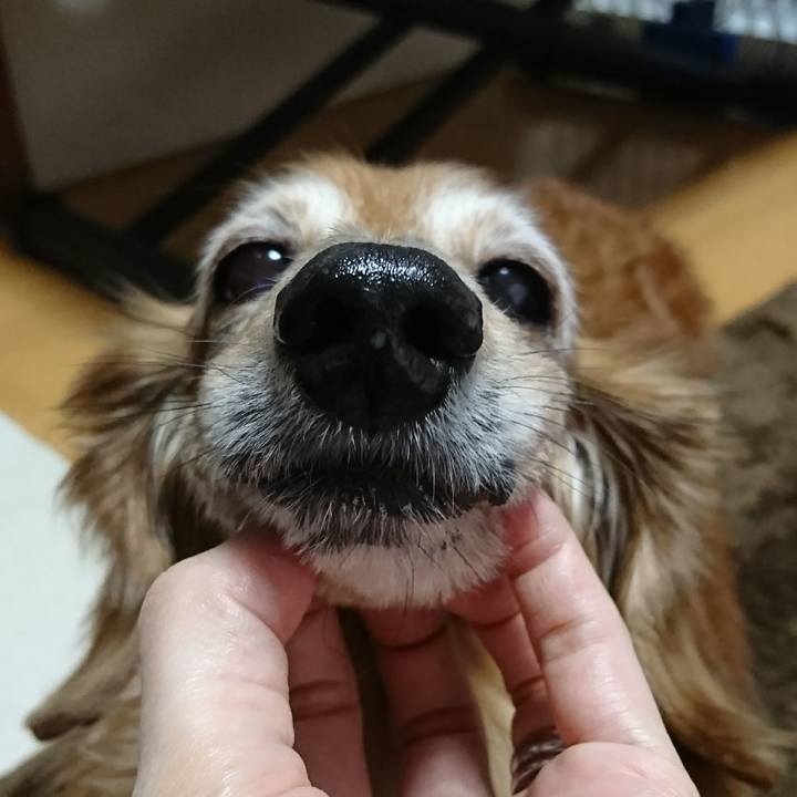 3fee904e d605 4750 b17c 9293b27ff58c