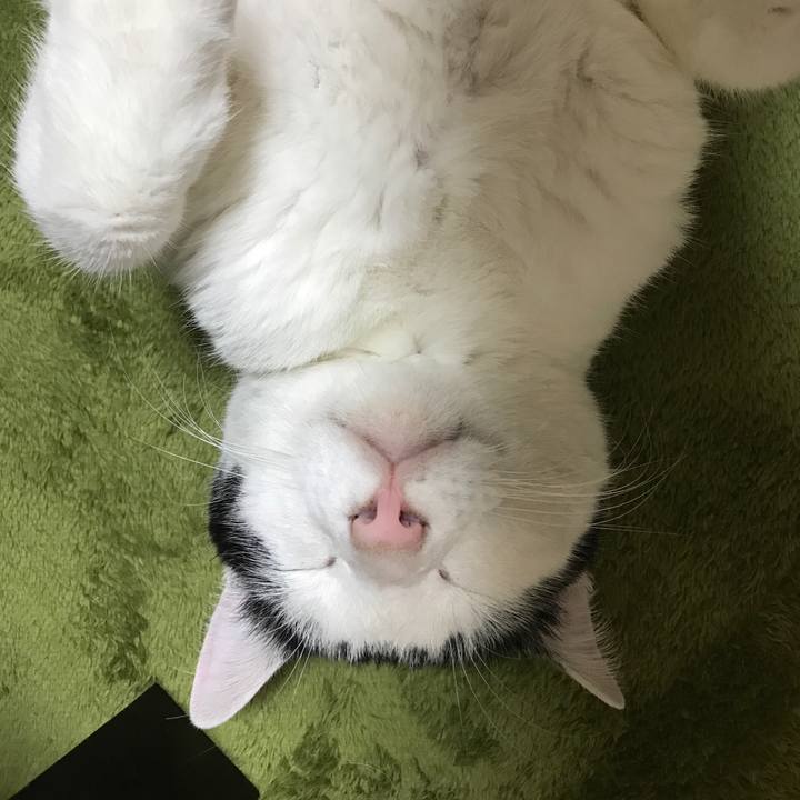 3feff34b ae3c 4a9f 9eb3 9c9248a2f137