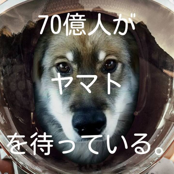 3ff0a2c0 1438 4bde 8d71 8058cca2e728