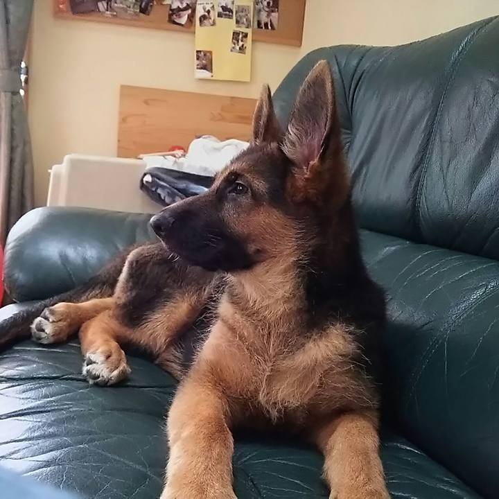 3ff0d911 41af 4c2f bd76 7cd3696b6da5