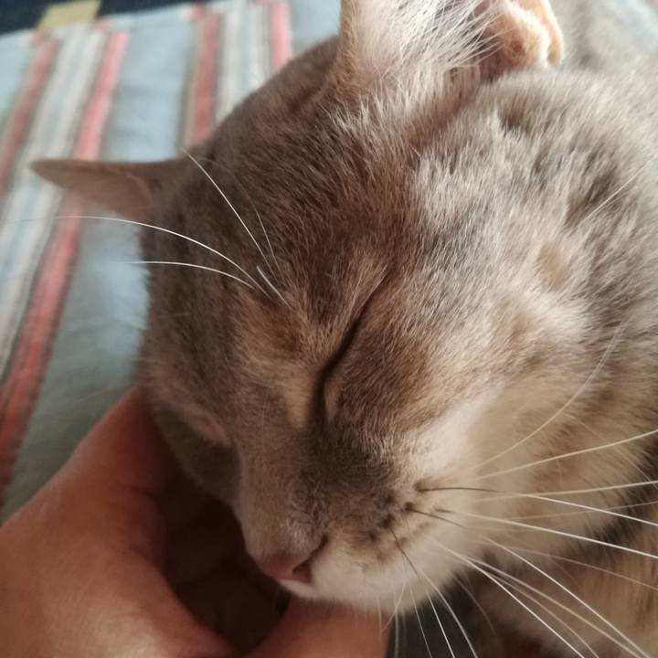 3ff130eb c5b3 4441 8e05 a314794a17d0