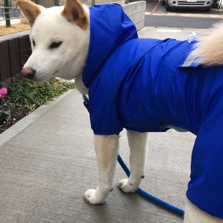 3ff1ad19 d997 4b7c 8dc6 ea3fe1ea1427