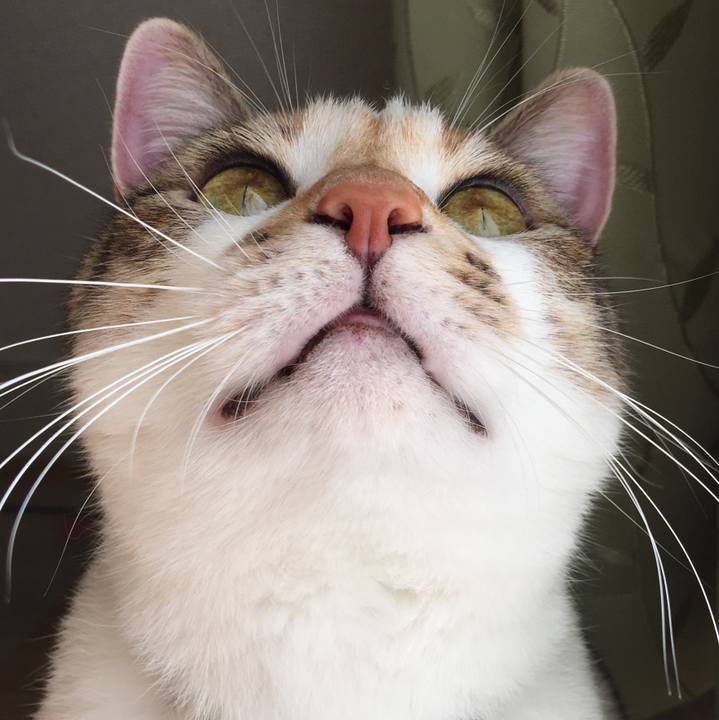 3ff1f6b3 d0f1 428d b3f9 4cc95382d187