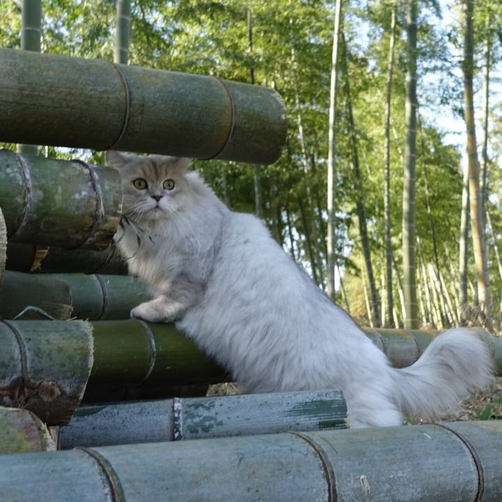 3ff2a691 2cb5 4087 bc9c 8fc42da60b77