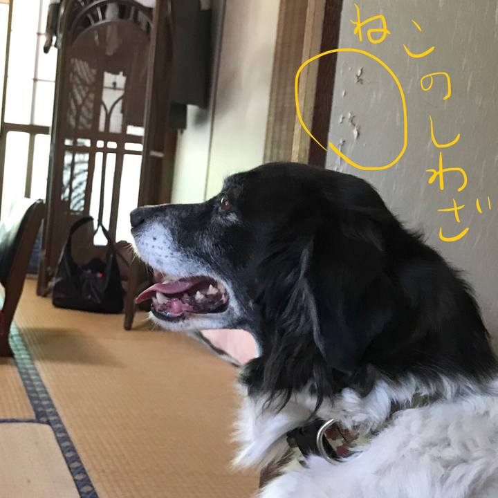 3ff2b880 7101 48cb adb2 fe1525bafc23