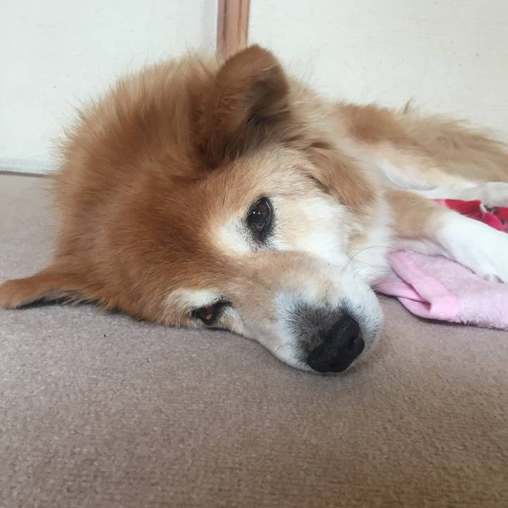 3ff323ee bf2f 4a66 b32b 7e90c672cd42