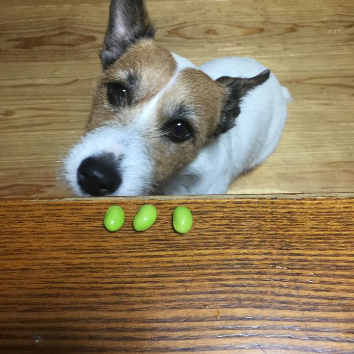 3ff33cf3 713a 4bce ab4e d87e5b6b9df9