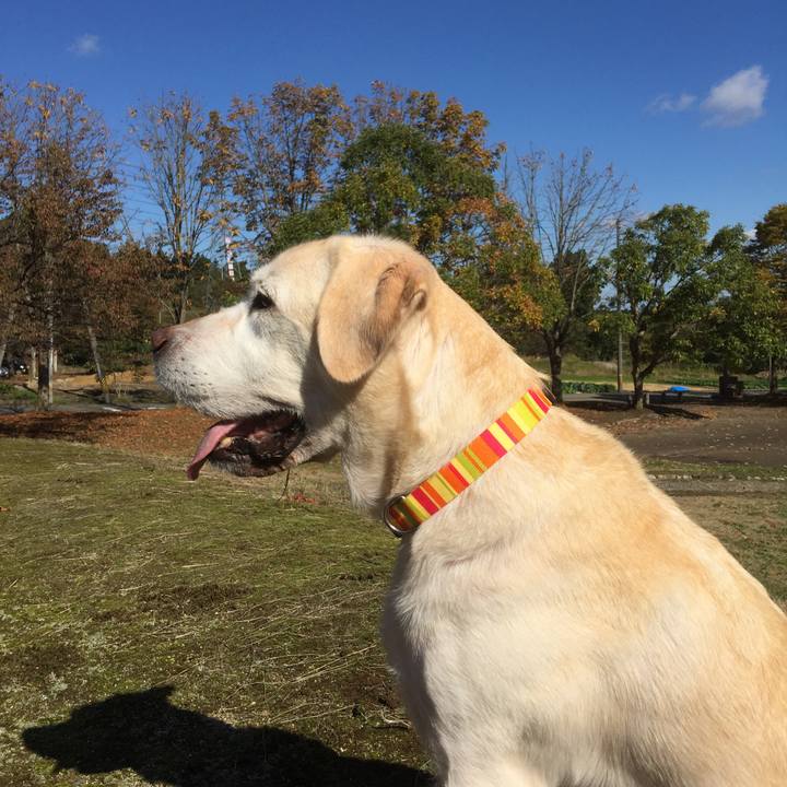 3ff340af f0e1 4ac3 9cb1 2acccd18036a