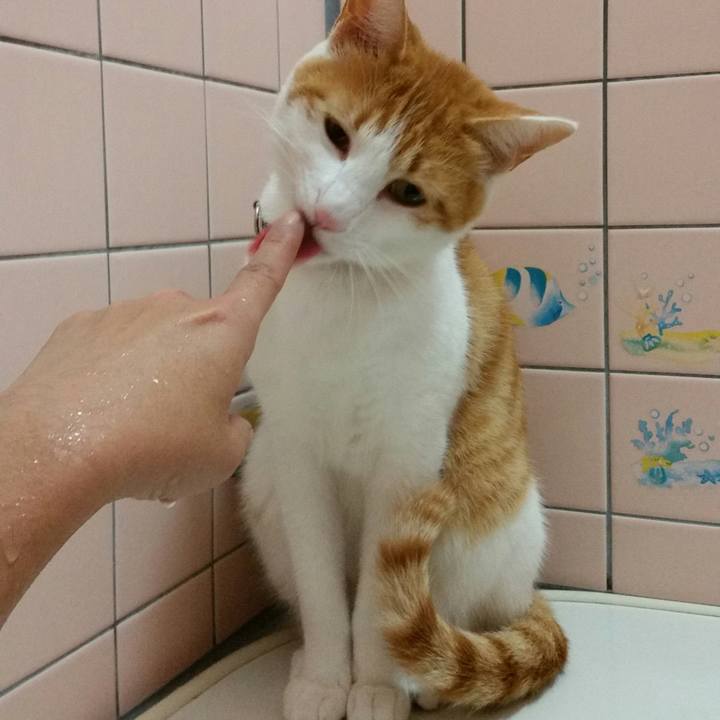 3ff34a22 5092 4b32 850e 2b66480bbf30