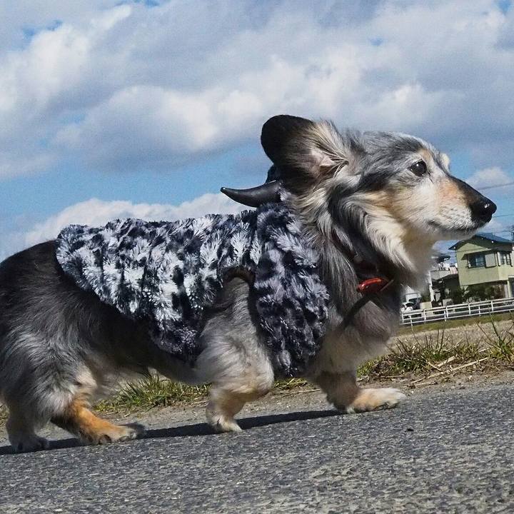 3ff37b3e 8553 4c68 b6c7 c717f876713d