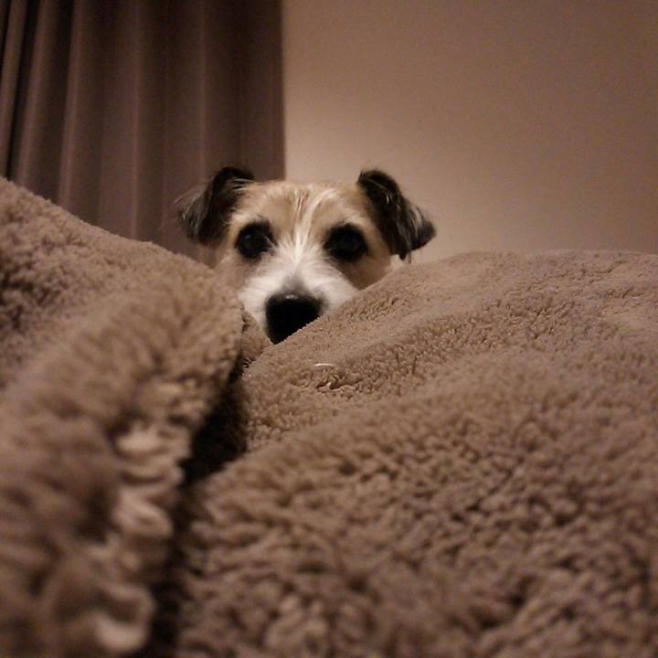 3ff3b3ba 53f5 4160 b8ee 75c89a3facd0