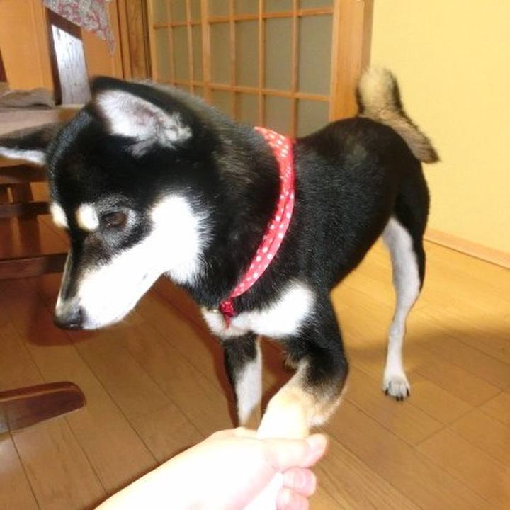 3ff47dfc 24c9 4942 b3e7 55c2e6ee1ebf