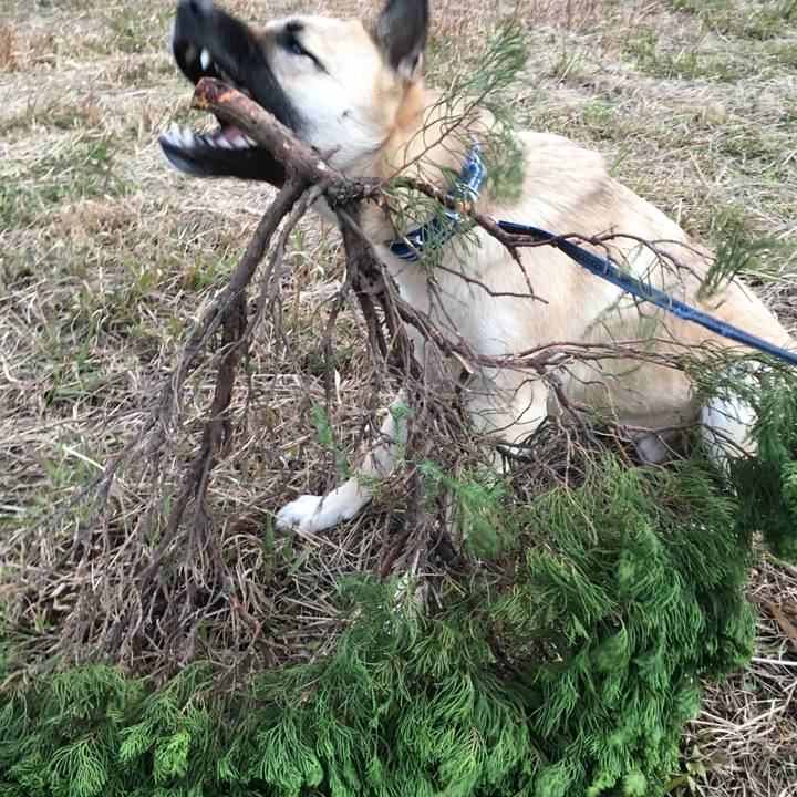 3ff4c115 6c12 4f19 abb4 3a7f1beaaead