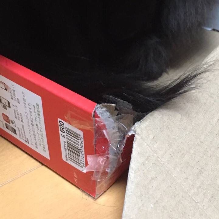 3ff4f3d0 765f 4122 96c0 74bb8dde3737