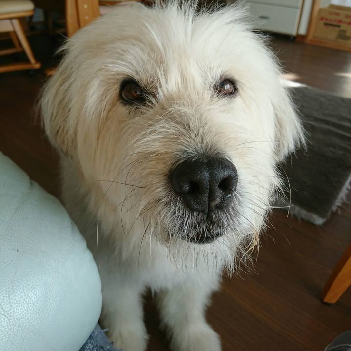 3ff50e2e 37e3 4b01 9464 6961a8d1c0ee