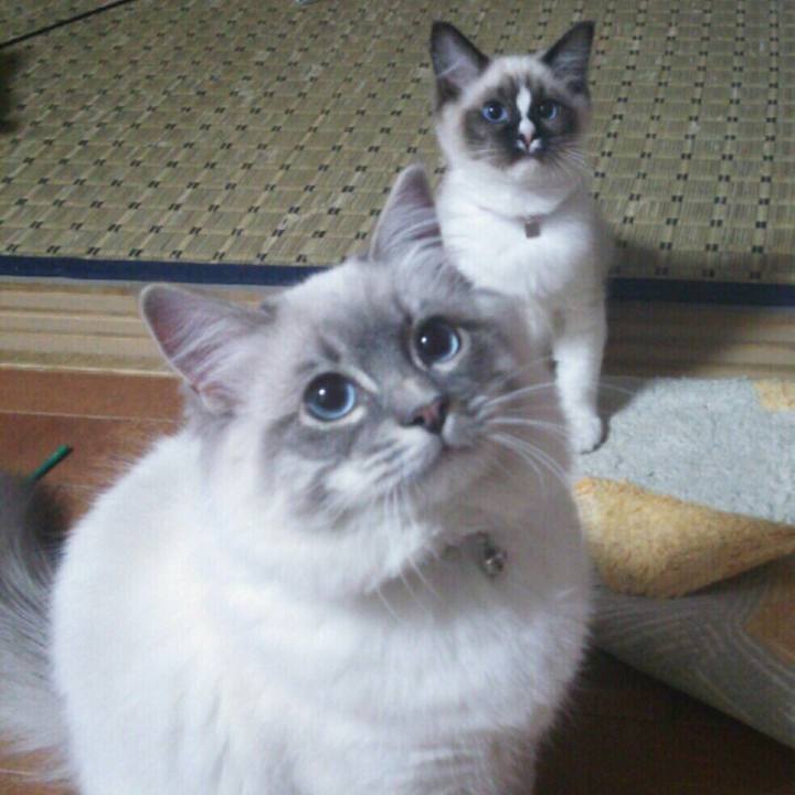 3ff540a6 ef3f 49c6 be5a b475d2c7f762