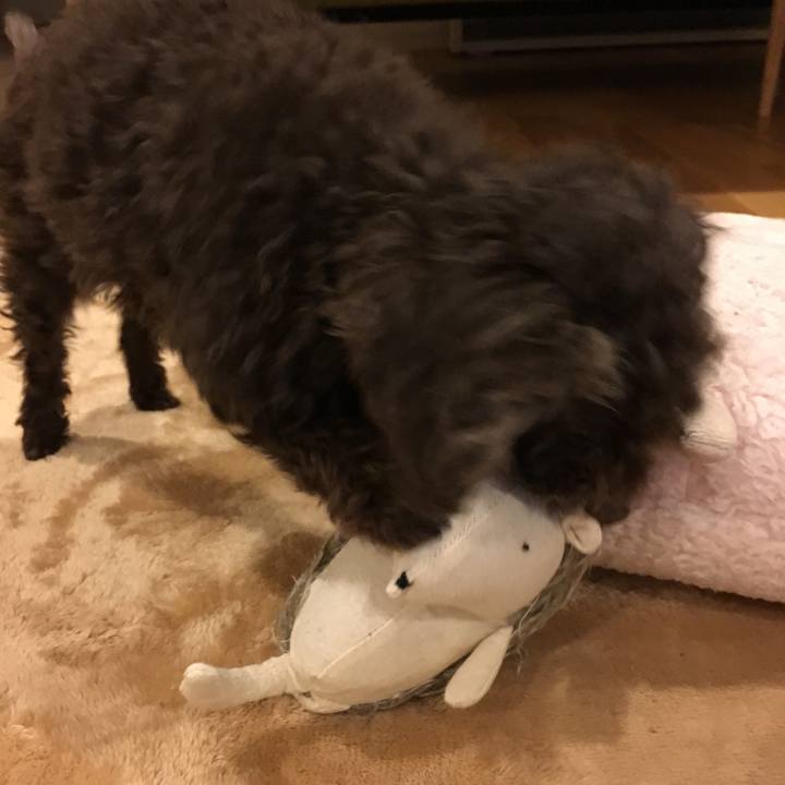 3ff5654e 04b9 4d1e 9cf2 f719d61311ec