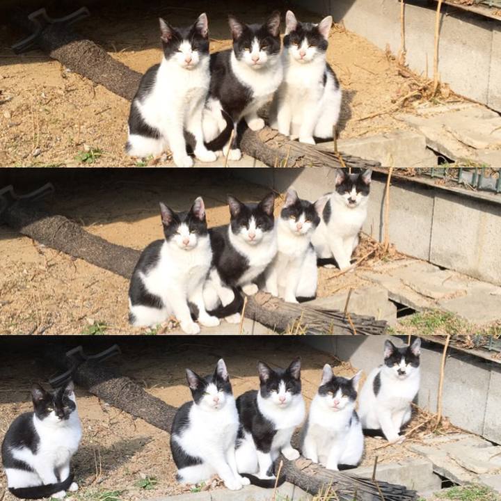 3ff68a7b b2f2 4e9f b96a ef806f0f3ad1