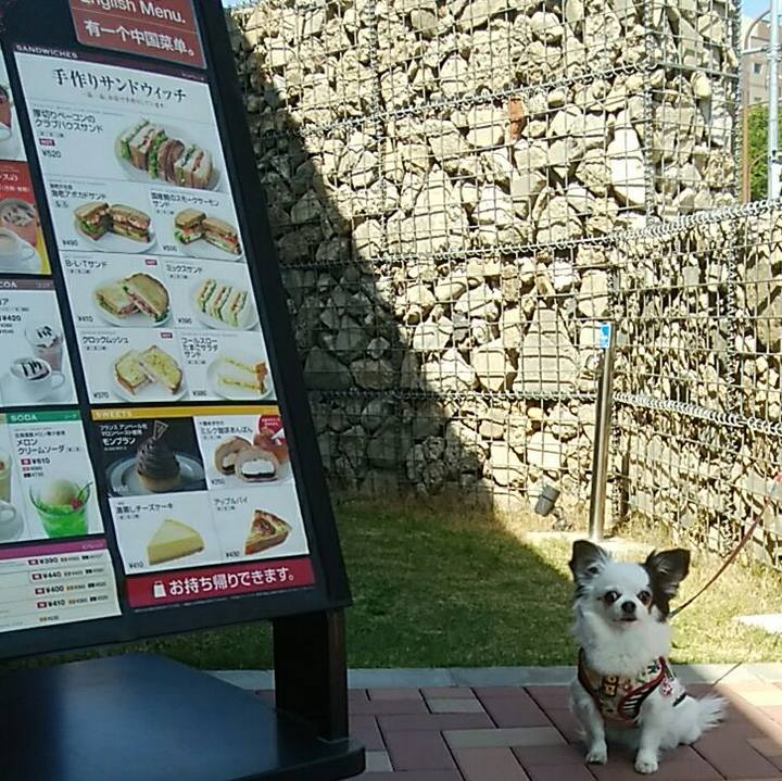 3ff70b6b e83c 4a16 bfdf 956a6b21e56b