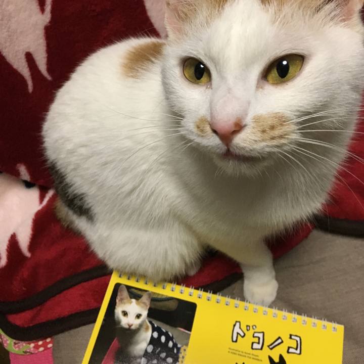 3ff7d199 a7ba 4e60 89dc 66538a7d2e8c