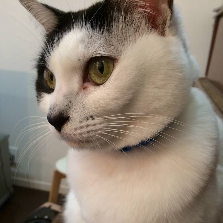 3ff7ec78 7f7c 4db8 a588 41ea4b622314