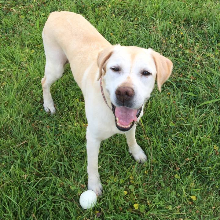 3ff83f7d b2fc 4b70 9fa0 8aaf00719952