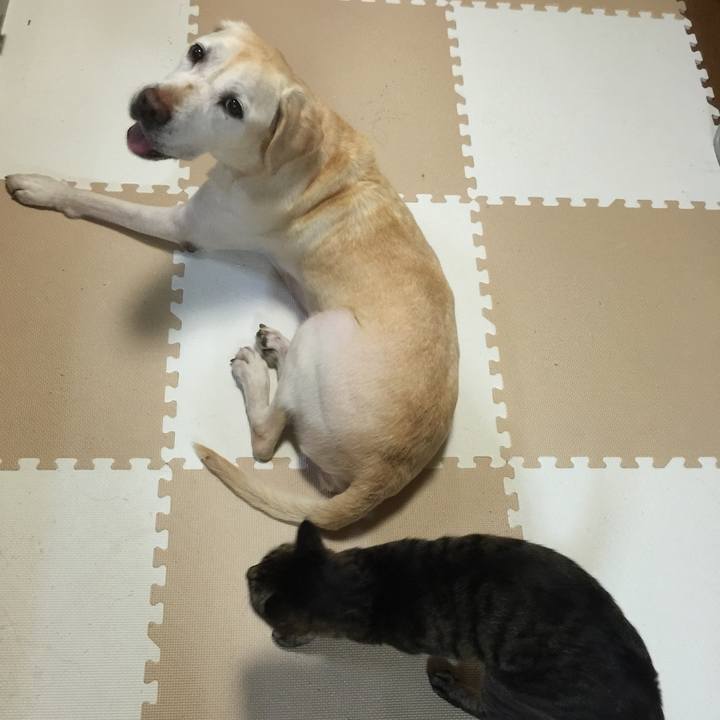 3ff86580 8a08 44f0 ba65 626d2e95d8fc