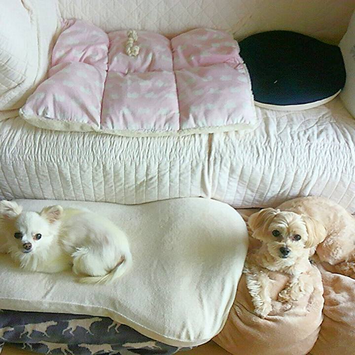 3ff94d13 3931 41ab b512 6562d6479203