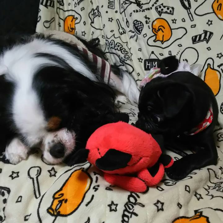 3ff99e3d 1de6 41b6 8220 29f011868e2b