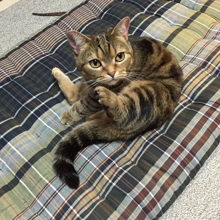 3ff9bad3 112d 4cee af7e e6c6057806ce