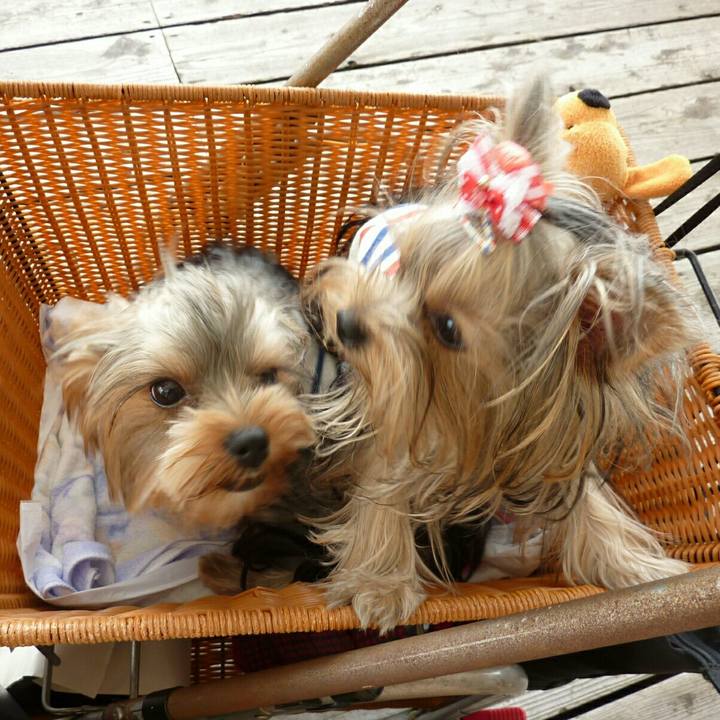 3ffa78fa f4e1 4ad5 b033 c2e3b37ea3be