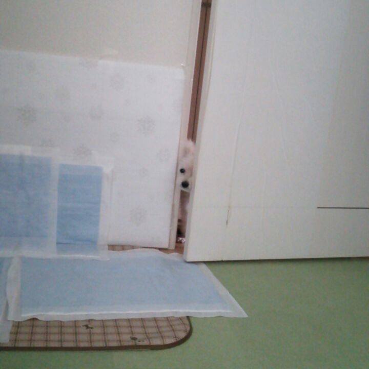 3ffc2922 04b6 40af a637 ebbcd757550e