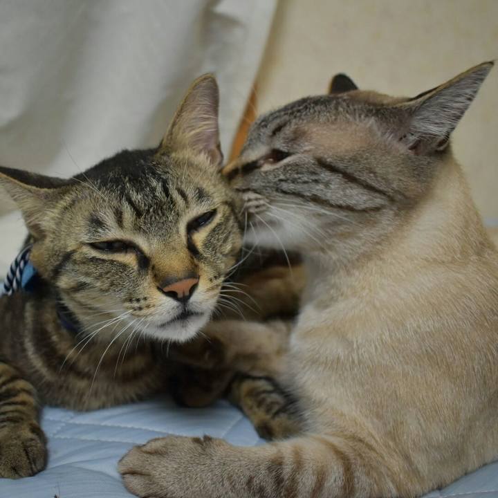 3ffcc2ba ff53 4532 a243 a854c170745d