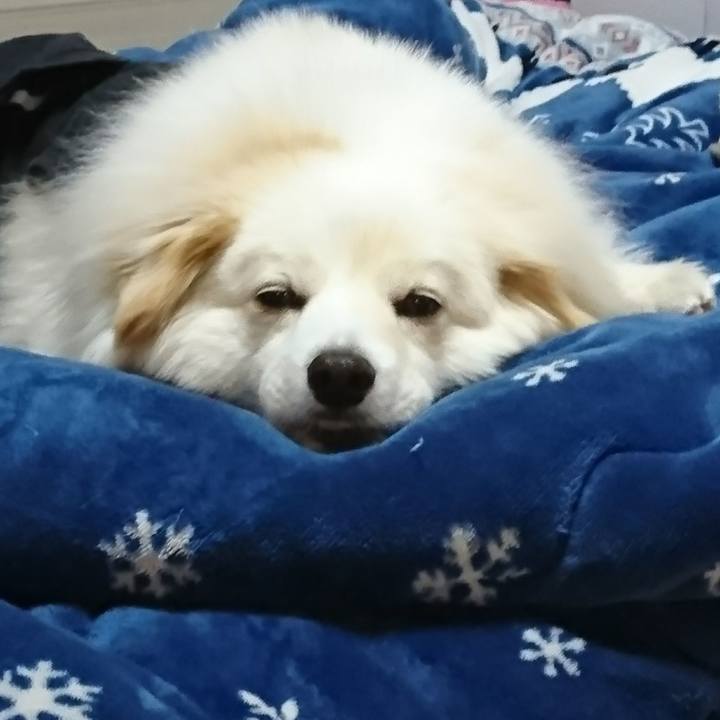 3ffd4965 beda 48ec ad40 b2eaa3baa27a