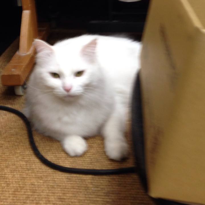 3ffd6610 ec4e 4dee b9bc b6070562ef84