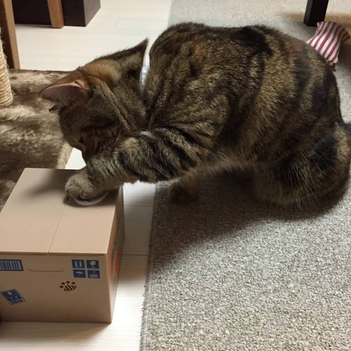 3ffd678f 0726 4215 bb60 c0125ef3269d