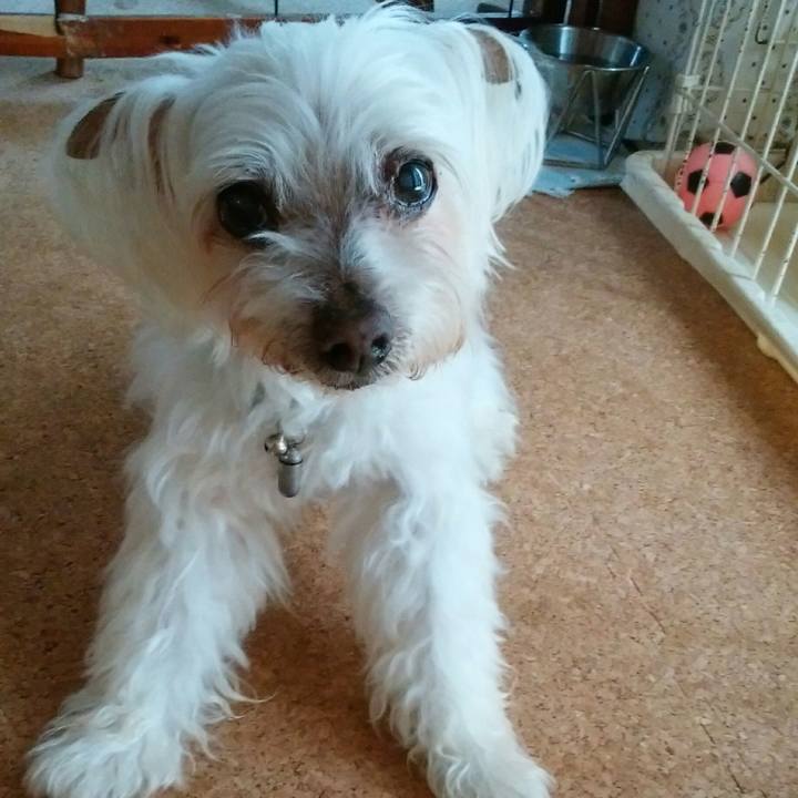 3ffd85dd 0375 43f7 bbf6 571e6cc4a668