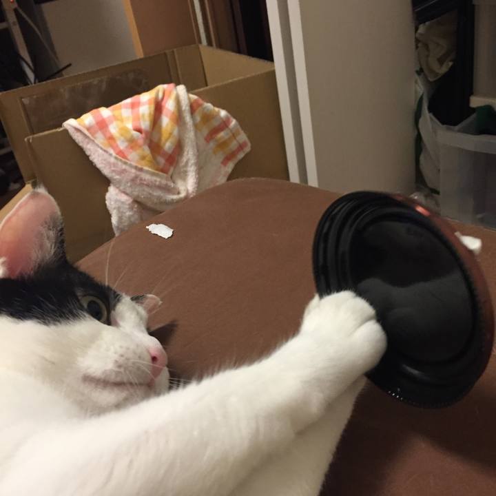 3ffdb83e ec41 418f 8b8c 9397c58c5559