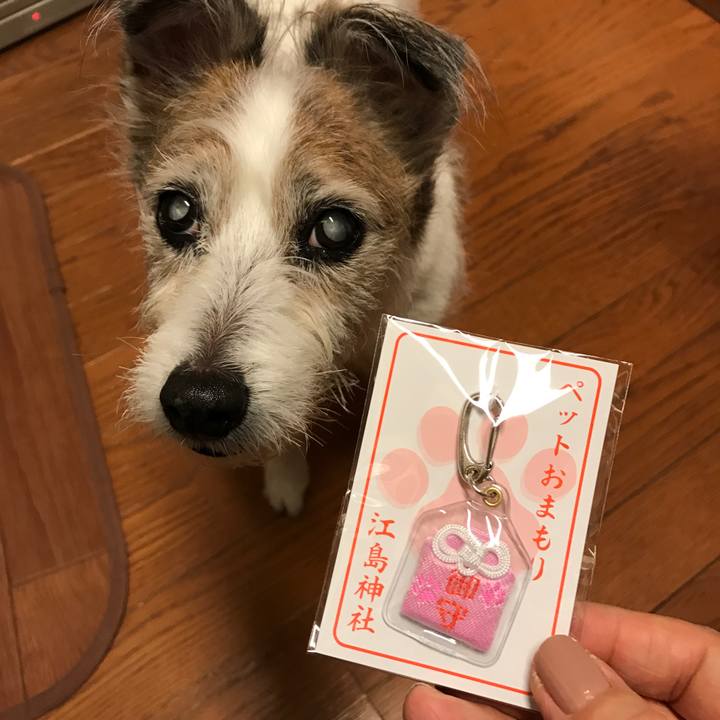 3ffdcb8b 60dc 4247 92b3 a2ca70902301