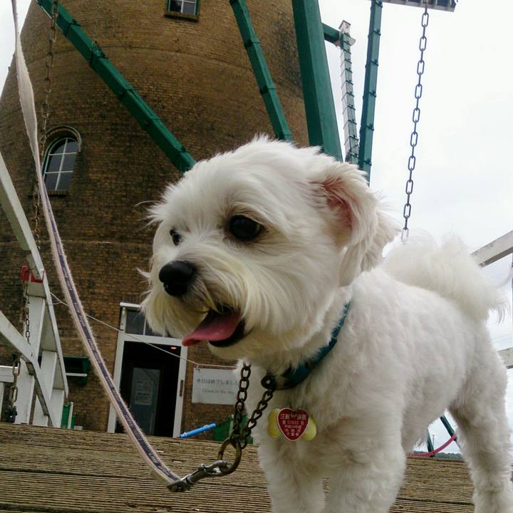 3ffe3fe8 5ebd 4d2e 9be7 807a000285aa