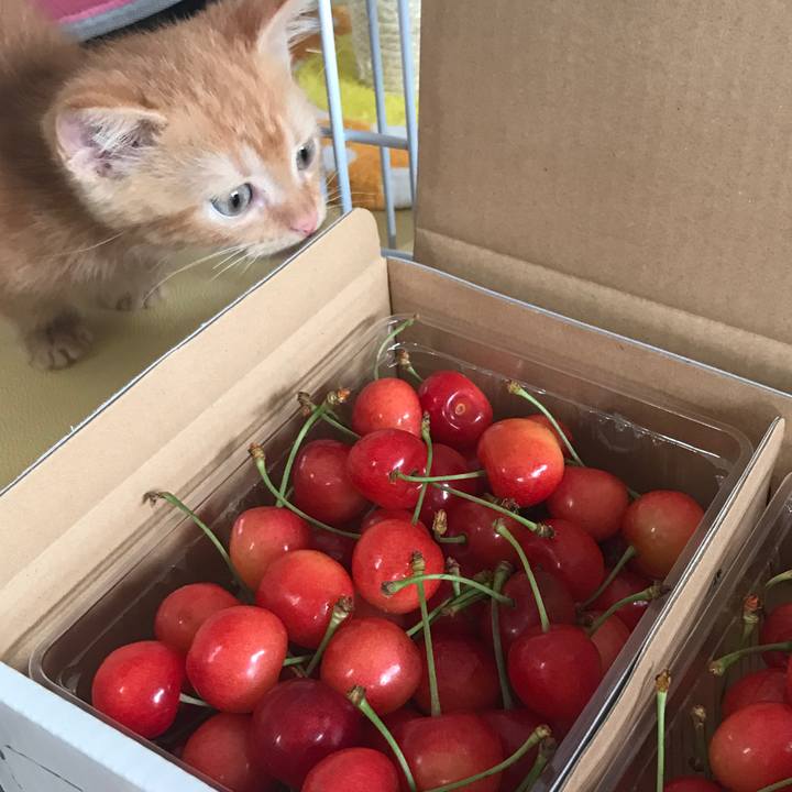 3ffe6898 513f 4bf1 98f5 5c7fc79fd61a