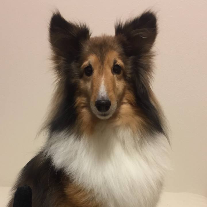 3ffeae5a ebe3 440d 80c3 5415d1b457fc